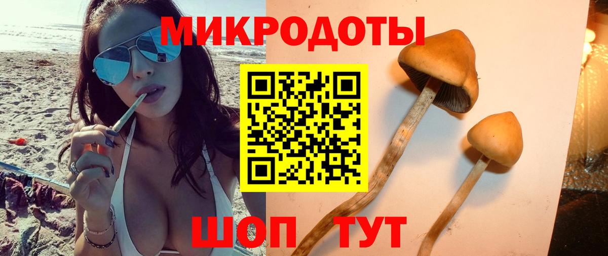 Псилоцибиновые грибы ЛСД Белорецк